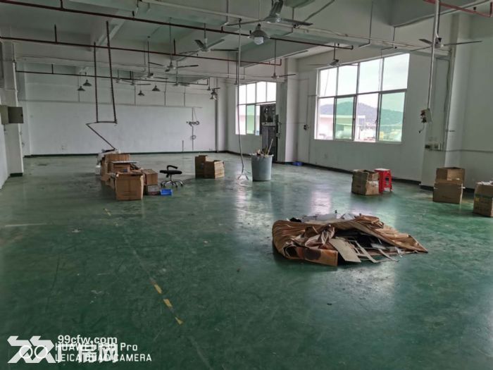 凤岗电子组装 电商 贸易 现成办公室厂房出租1050平-图3