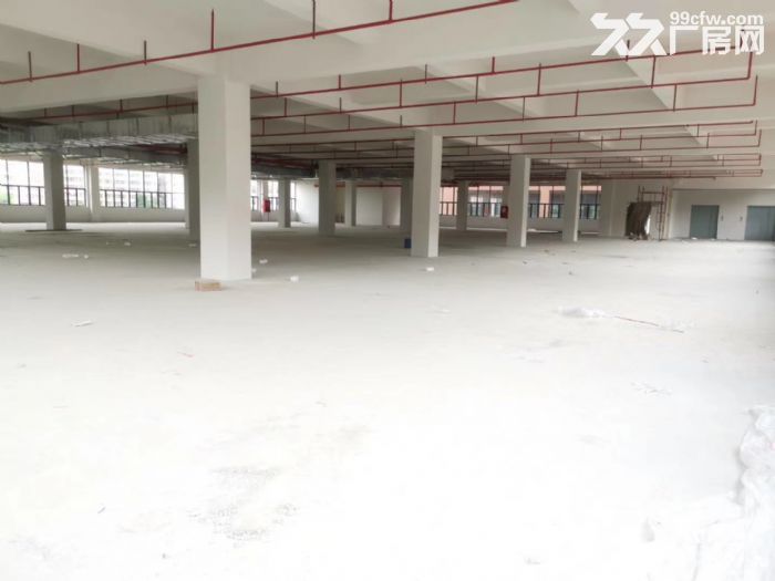 全新高标厂房每栋10800平米  紧邻深圳   实力企业首选-图3