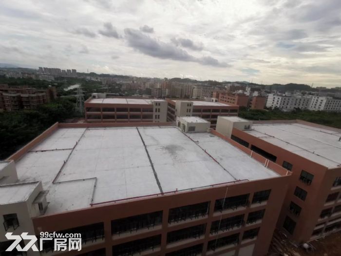 全新高标厂房每栋10800平米  紧邻深圳   实力企业首选-图4