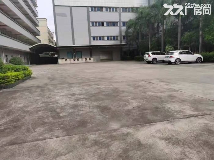 黄江花园式标准独院厂房出租-图3