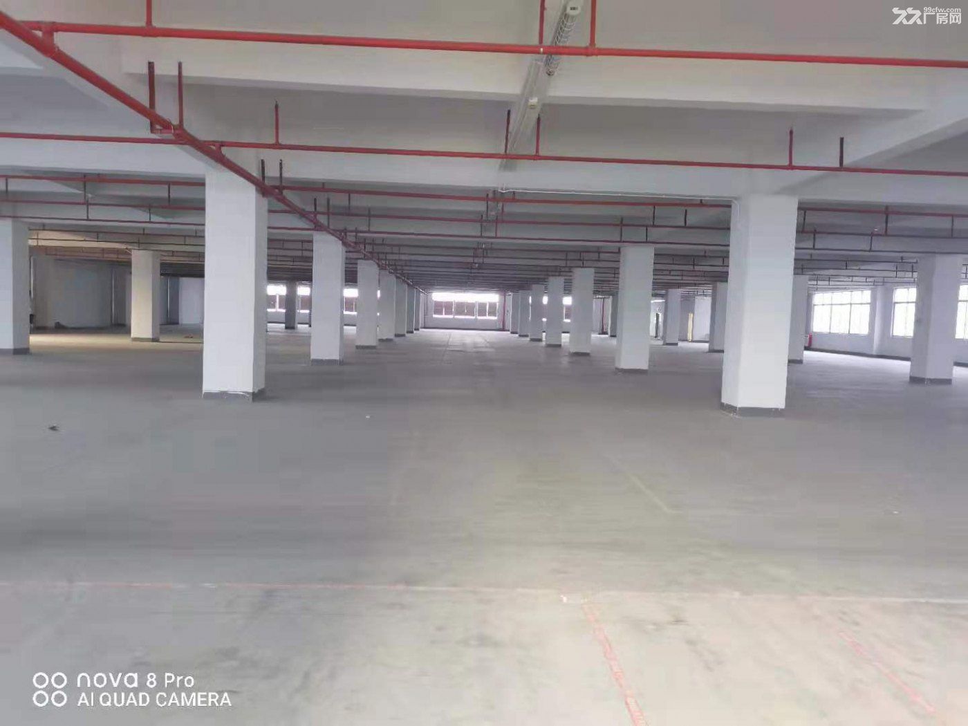 带卸货平台 空地大 东深二线边上 凤岗电商仓库出租4000平-图1