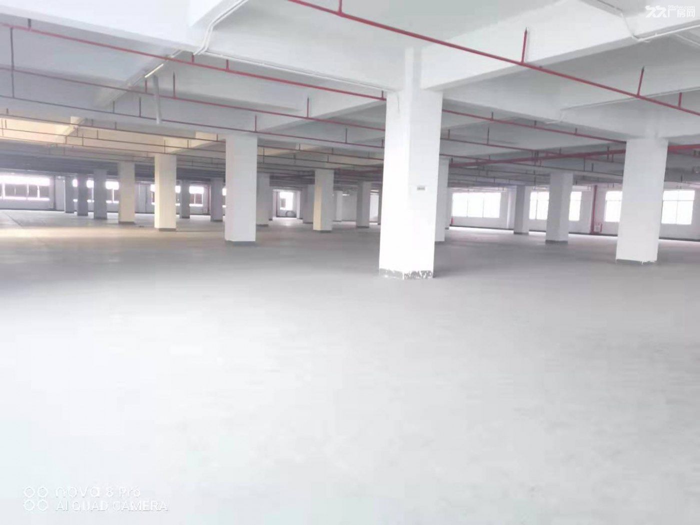 带卸货平台 空地大 东深二线边上 凤岗电商仓库出租4000平-图2