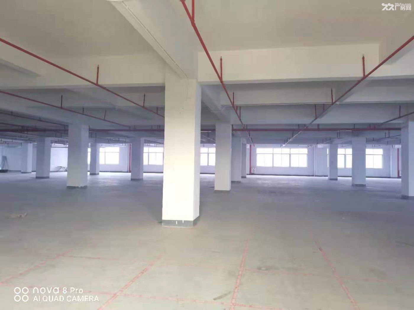 带卸货平台 空地大 东深二线边上 凤岗电商仓库出租4000平-图3