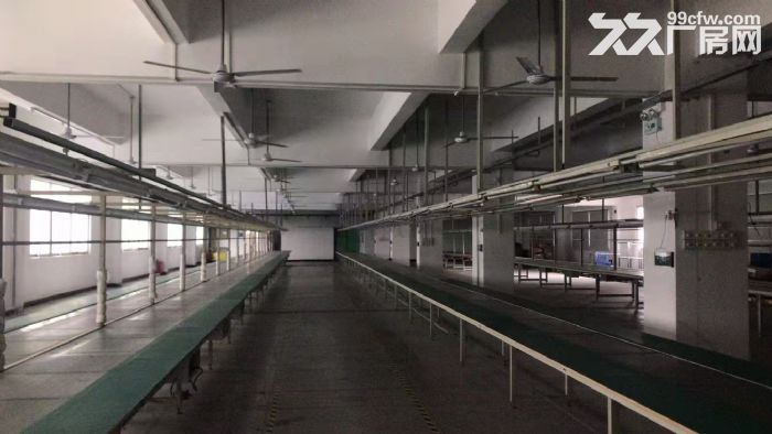 横沥原房东国有双证标准独院厂房出租-图2