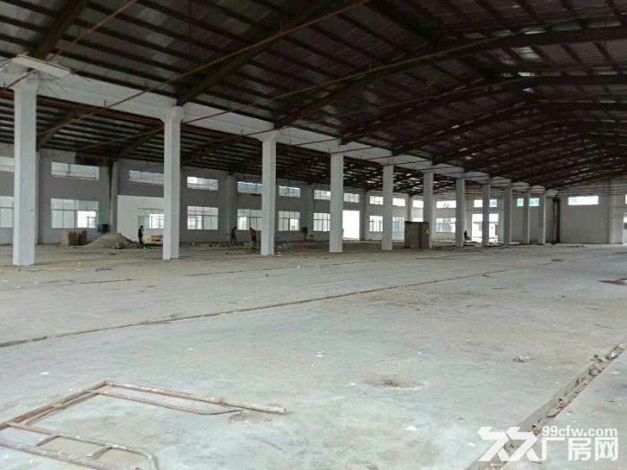 独院厂房滴水8米高钢构2300平出租 主干道边，工业用地-图3