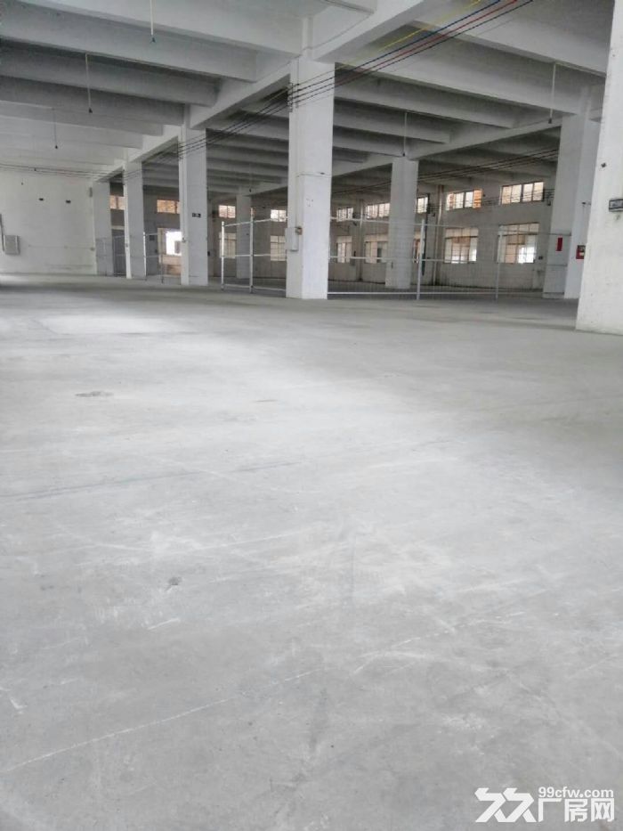 中堂镇独院标准三层厂房总共4000平方出租-图2