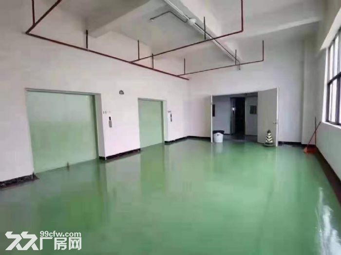 凤岗靠近龙岗独院厂房出租27000平 有无尘车间 可以分层租-图4