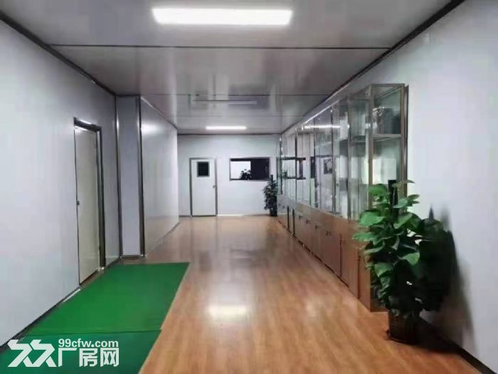 凤岗靠近龙岗独院厂房出租27000平 有无尘车间 可以分层租-图6