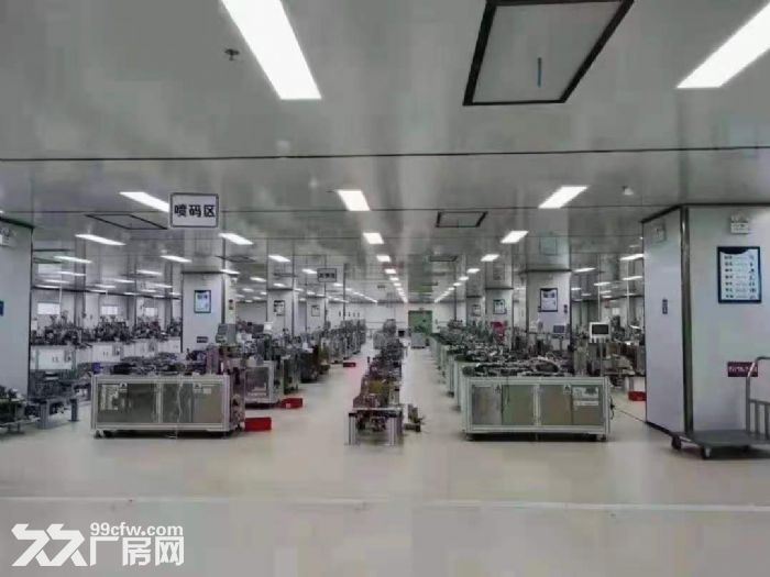 凤岗靠近龙岗独院厂房出租27000平 有无尘车间 可以分层租-图5