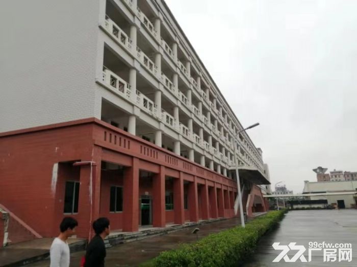 大岭山靠近松山湖4.5万平高薪企业独门独院厂房招租-图5