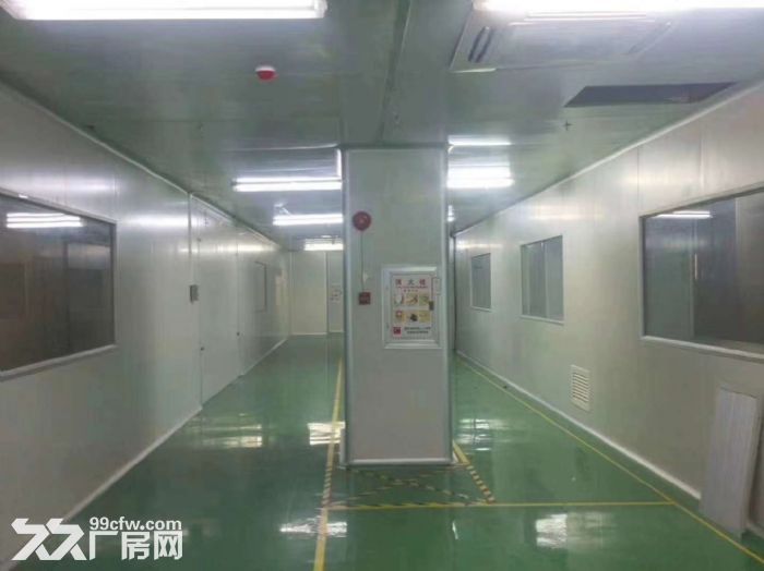 大岭山靠近松山湖4.5万平高薪企业独门独院厂房招租-图7