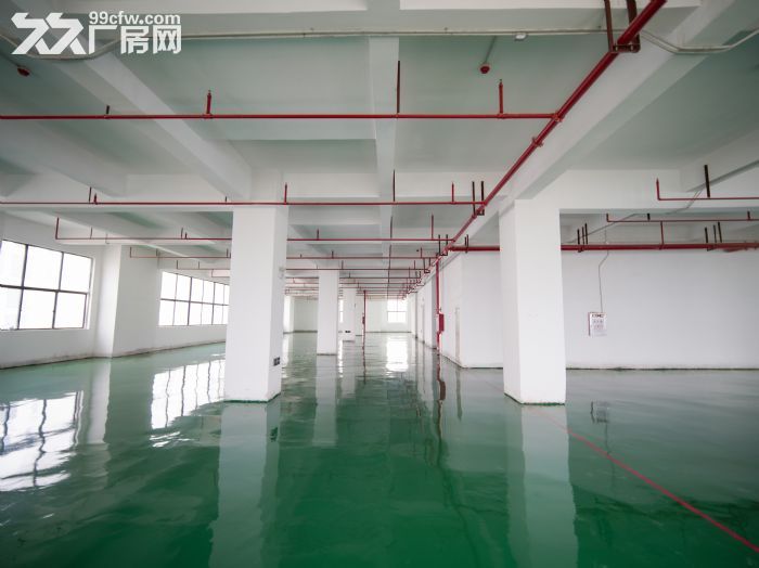 黄江田心村2260平米全新办公厂房业主直租，送地坪漆可分租1000平米-图3