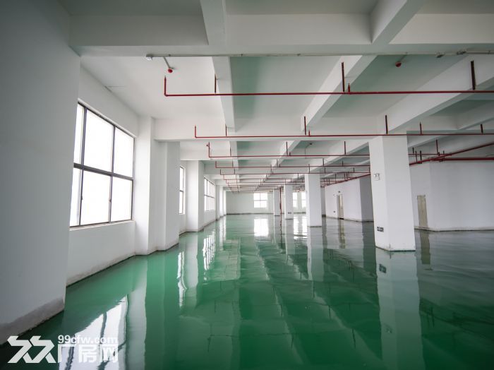 黄江田心村2260平米全新办公厂房业主直租，送地坪漆可分租1000平米-图4