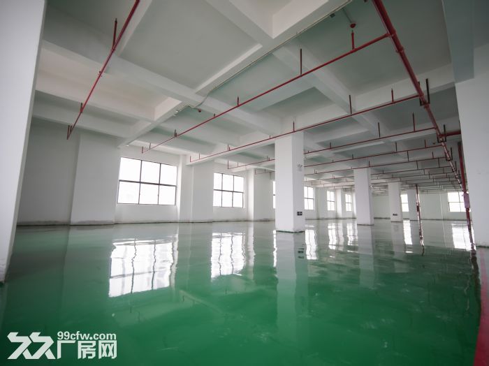 黄江田心村2260平米全新办公厂房业主直租，送地坪漆可分租1000平米-图5