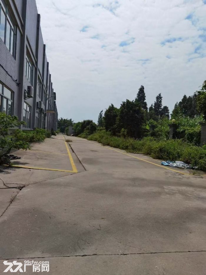 佛山市三水区白坭镇高速出口南丰大道边进入1000米处厂房面积为9500平方米-图1