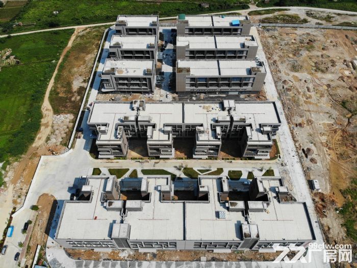 产业链完善，政府主导万亩园区-图1