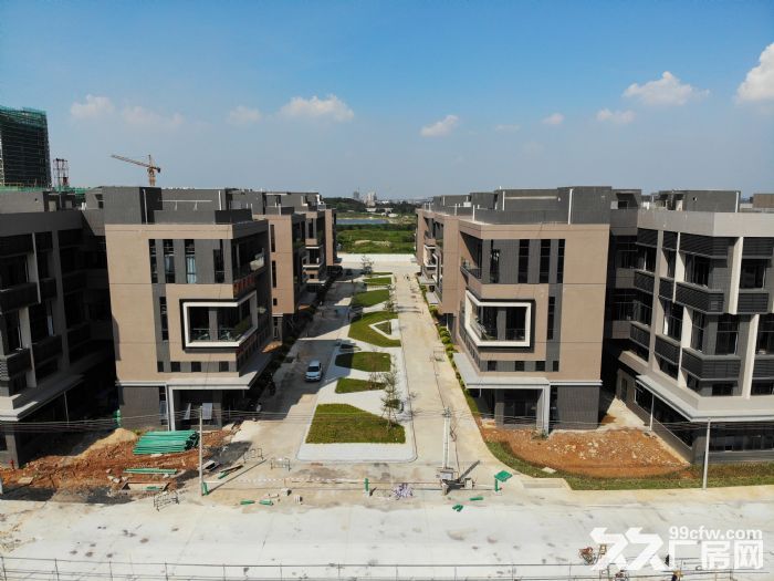 产业链完善，政府主导万亩园区-图4