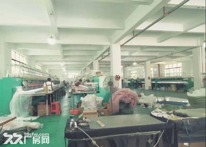 容桂标准厂房1000方，带装修-图2