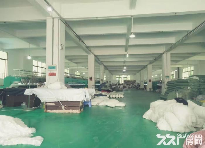 容桂标准厂房1000方，带装修-图4