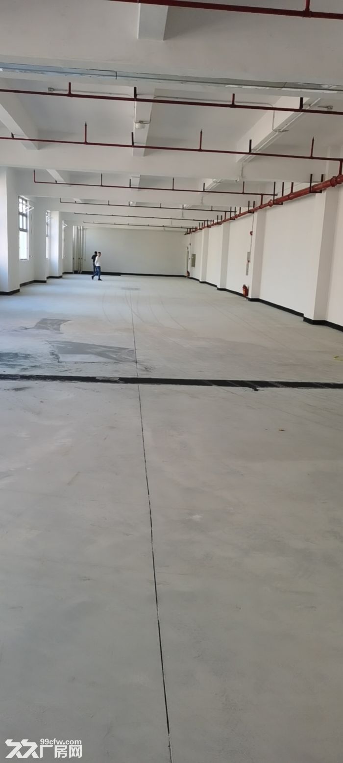 天富来国际工业城八期厂房630方（非中介）-图1