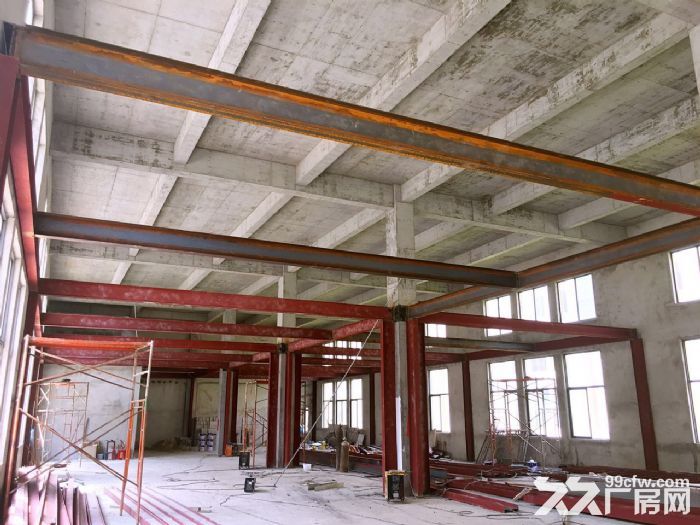 独门独院全新厂房，50年产权，2成首付即可，无强制税收要求(非中介)-图5