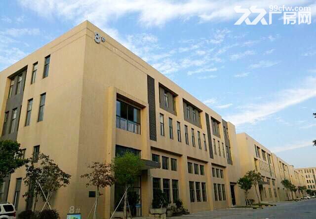 独门独院全新厂房，50年产权，2成首付即可，无强制税收要求(非中介)-图8