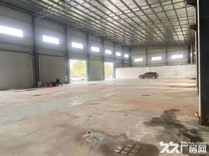 狮山广云路路边上1280平方（150方起分），可做商铺、仓库、厂房。-图3