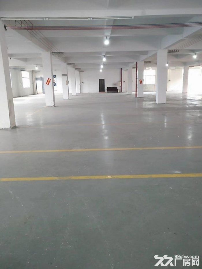 南海小塘新岀7400平独栋厂房，带红本，有办公宿舍，可办环评-图3