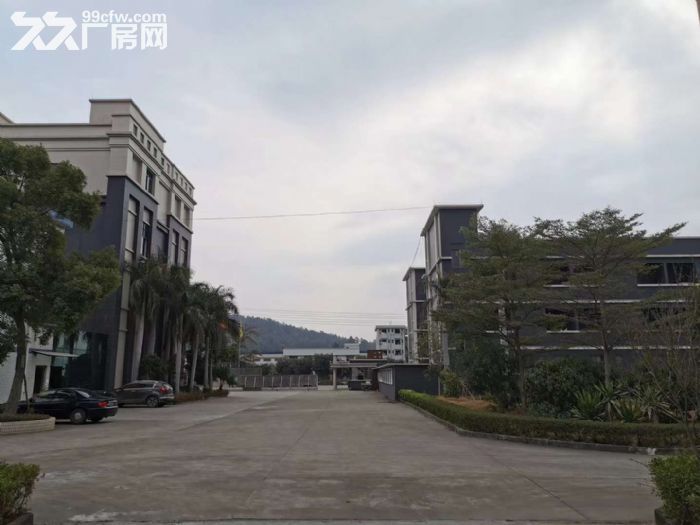 单一层34000平方厂房，适合印刷，五金喷粉、五金喷涂、酸洗等环评行业-图4