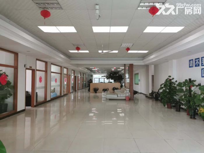 单一层34000平方厂房，适合印刷，五金喷粉、五金喷涂、酸洗等环评行业-图5