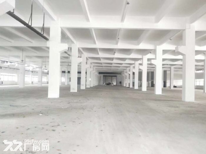 佛山均安镇5700方独门独院单一层厂房出租-图3