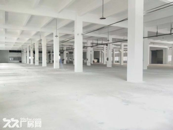 佛山均安镇5700方独门独院单一层厂房出租-图4