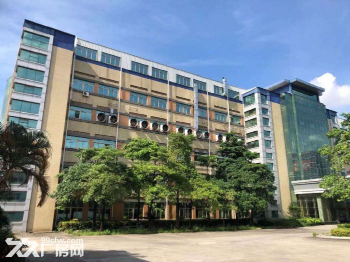 高明新出原房东带家具环评厂房出租-图1