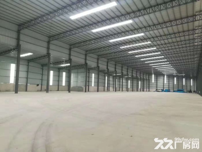 高明新建单一层厂房出租滴水10米可分租-图1