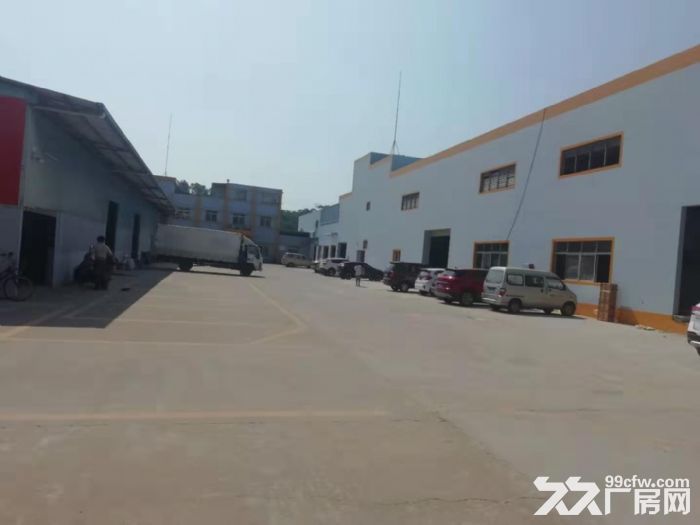 高明新建单一层厂房出租滴水10米可分租-图2