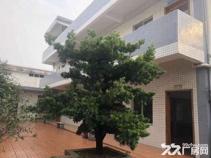 顺德北滘西海工业区11000方独门独院厂房招租-图4