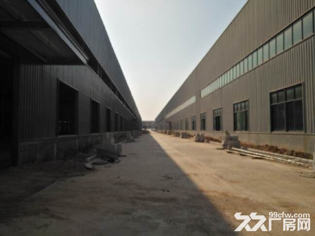 高明荷城工业区原房东独院18500平米全新钢结构厂房出租-图2