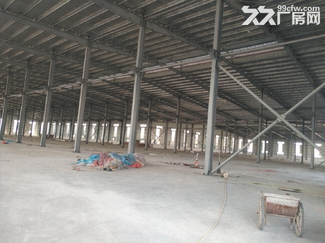 高明荷城工业区原房东独院18500平米全新钢结构厂房出租-图3