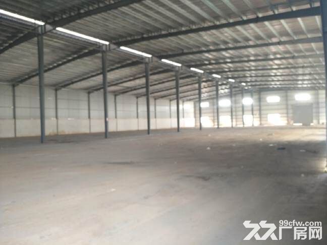 高明荷城工业区原房东独院18500平米全新钢结构厂房出租-图5