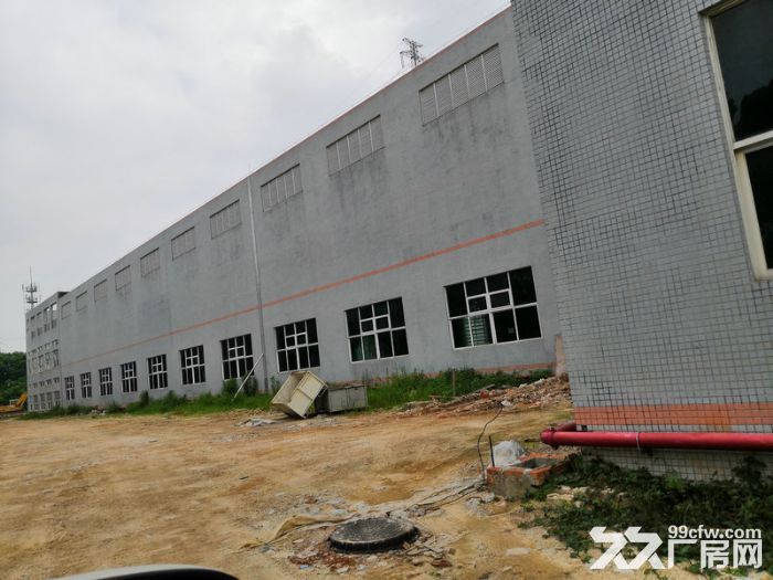 南海区狮山工业园区原房东6000厂房出租可办环评-图1