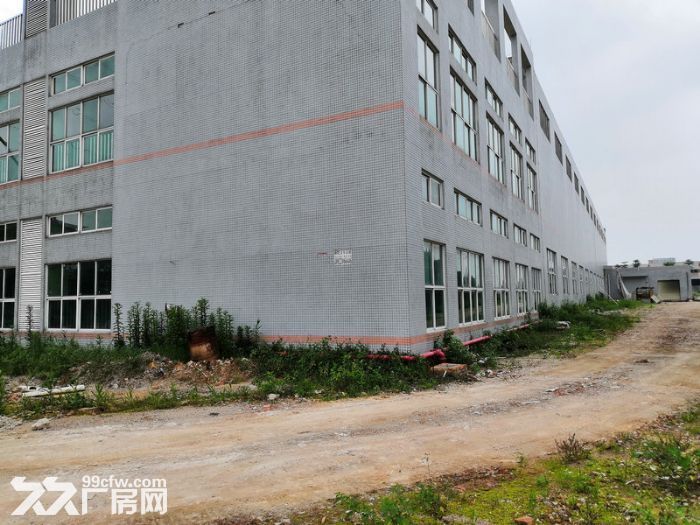 南海区狮山工业园区原房东6000厂房出租可办环评-图2