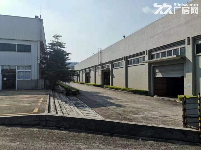 原房东单一层厂房 园洲工业区 钢构厂房 工业用地 仓库厂房-图1