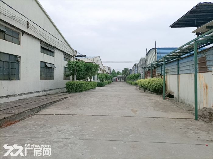 惠州市博罗独门独院钢构厂房 工业用地 可分租厂房-图3