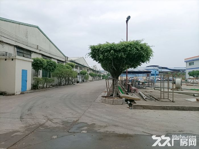 惠州市博罗独门独院钢构厂房 工业用地 可分租厂房-图8