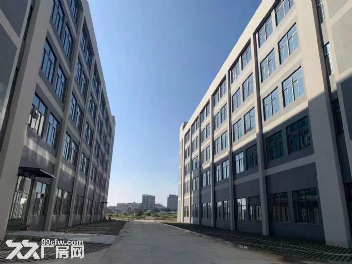 《惠》水口大型工业区原房东标准1楼2000平方厂房出租-图2