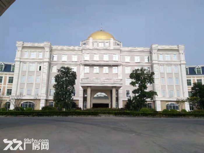 河源市花园式新厂房出租-图1