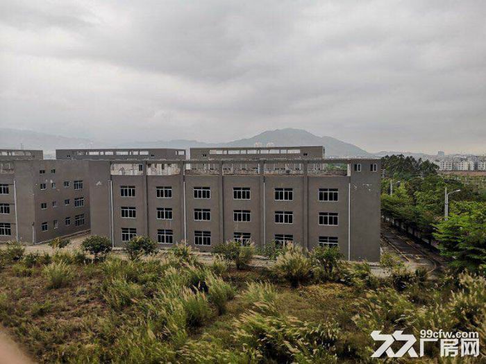 河源高新区全新厂房，租金7元起每平方！业主直租，价格可议！-图1