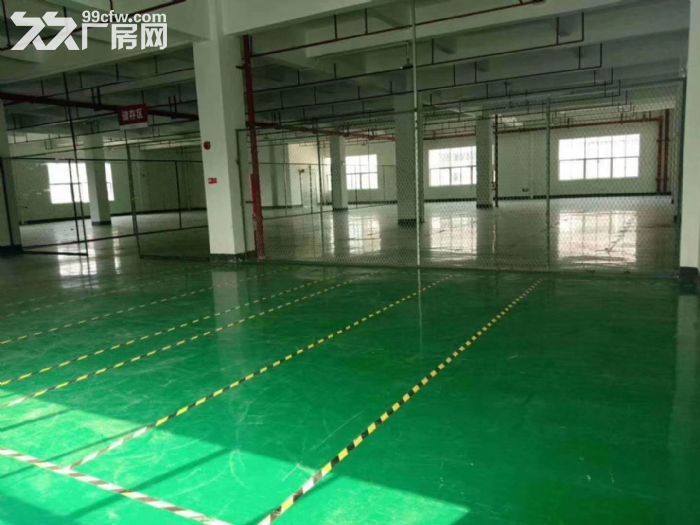 江门蓬江荷塘工业园标准杠架结构厂房1000平方招租，现成装修-图2