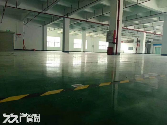 江门蓬江荷塘工业园标准杠架结构厂房1000平方招租，现成装修-图1