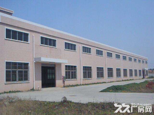 江门蓬江花园独院厂房招租，可分租，1000平方起租-图1